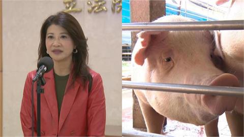 非洲豬瘟破口疑曝光?林楚茵揭肉製品「靠1招闖台」:中國是最大漏洞!