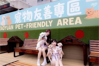 中職／全台首創！樂天桃猿打造「棒球場寵物樂園」　門票「這天」正式開賣