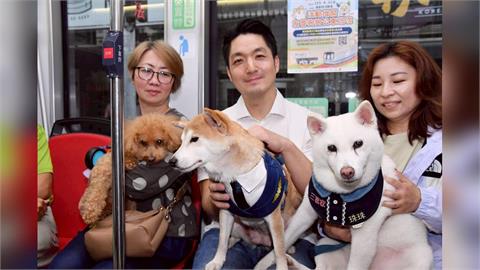 快新聞／索爾、星爵來了！蔣萬安親搭狗狗捷運　自曝是狗派：養過3種名犬