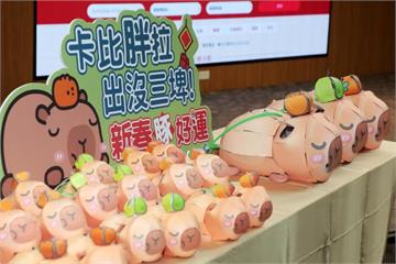 台南限定「卡比胖拉」小提燈2/27起限量發送