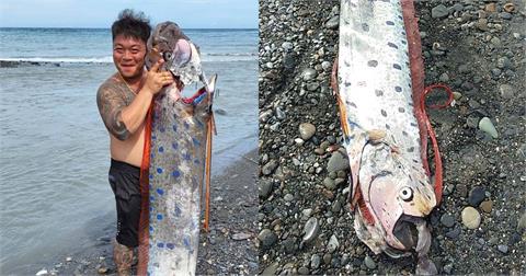 台東太麻里釣到「6公尺130公斤」地震魚　他嗨喊：真的過癮