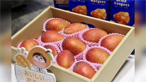微芒食刻．頂級首選　台南愛文芒果外銷日本
