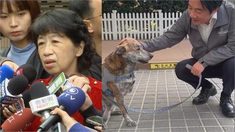 愛犬遭譏「賴清德PO片回擊」　白營護陳佩琪：個人言論自由