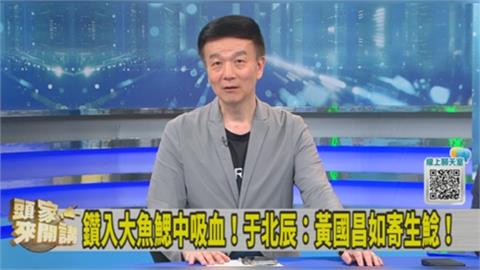 認黃國昌更像寄生鯰！于北辰揭：下一個宿主是鄭麗文！
