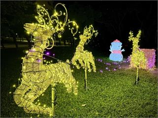 聖誕節必拍！青年公園、大安森林公園應景花卉燈飾夢幻上線