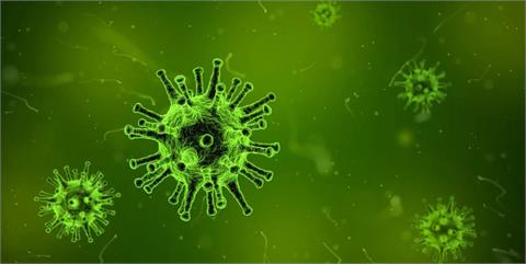 非洲爆發「馬堡病毒」致死率達88%　疾管署提升旅遊警示