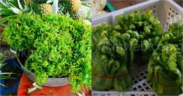 熬夜壓力大必吃？　醫點名2野菜抗氧化、抗發炎：每週1至2次入菜