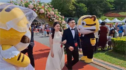 苗栗桐花婚禮登場！　「防詐宣導活動」意外促成良緣