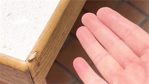 獨家／寫字台座位區被誤當「用餐區」　台中司法大廈「蟑螂亂竄」