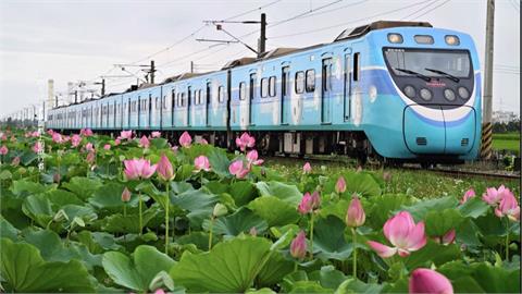 冠軍微笑列車將「卸妝」　遊客搶拍列車荷花照害煞停