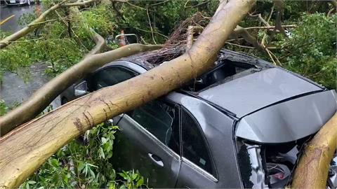 快新聞／大雨狂炸！基隆安樂區土石樹倒砸車　駕駛嚇壞：慢一點就沒命