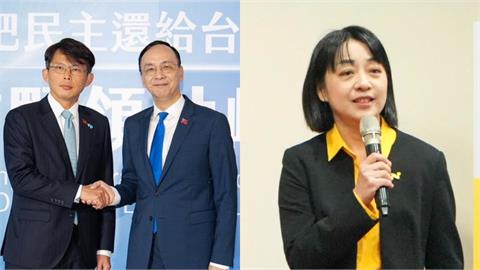 藍白峰會「完全悖離人民常識」！王婉諭列3點怒轟：連在野黨都扮演不好