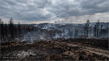 比利時爆百年最大野火　消防員克服惡劣地形控制災情