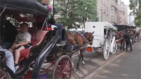 觀光客摔死成轉折？　紐約市議會將表決「中央公園馬車」存廢