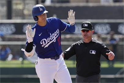 MLB(影)／腦袋也得春訓！大谷上壘忘了慶祝　回神「碰頭」險把教練撞到腦震盪