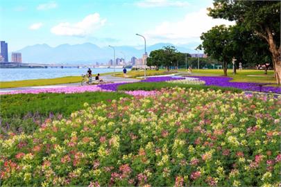 河濱花海3連發！「野花園」延平河濱4萬餘盆季節草花齊放