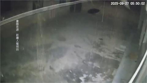 中國甘肅規模5.6地震「深度僅10公里」　釀數百房屋倒塌！民眾驚醒逃跑