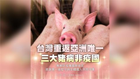 台灣豬重返國際！恢復亞洲唯一非洲豬瘟「非疫區」　賴清德喊話了
