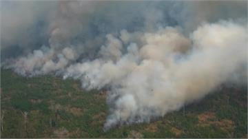 亞馬遜雨林燒不停！各國齊聲向巴西施壓