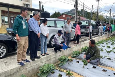 快新聞／苗栗大湖草莓病害嚴重　綠委沈發惠召集相關單位協助處理
