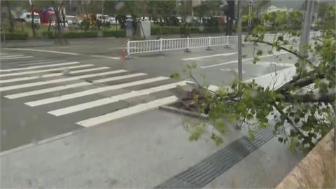 「沙德爾」詭異轉向登陸中國　解放軍基地玉環連遭3颱侵襲