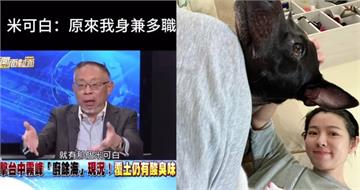 米可白又被認成狗!教授脫口「機場聞行李」 她笑回:我身兼多職