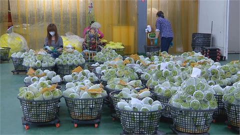 中國禁台釋迦蓮霧9度「已讀不回」　　農委會狀告WTO爭取仲裁