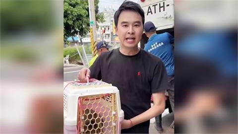 快新聞／全數獲救！台南永康虐貓案多方動員協助　議員：已全數安置