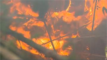 紐西蘭南島野火延燒一週 3000人被迫撤離