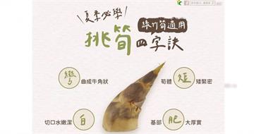 夏天吃綠竹筍怎麼挑？　農糧署教選購4字訣：甜脆不苦