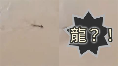 中國古代傳說「龍」現身了！遊客驚見「頭上長角怪物」湖中游泳畫面曝光