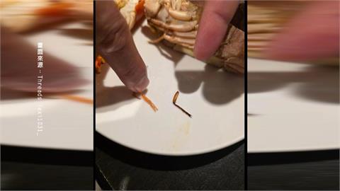 這是誰的腳？Buffet吃到異物　酒店業者：是蝦腳非蟑螂腳