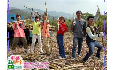 《多情城市》王燦化身「甘蔗man」上《綜藝新時代》揮斧砍柴竟只削下一片樹皮？！