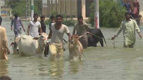 巴基斯坦洪患釀1300死　最大湖潰堤災情雪上加霜