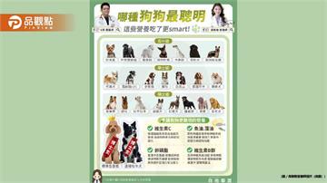 今天我們就一起來探索狗狗智商排行 看看你的毛孩子位於哪個「學術殿堂」
