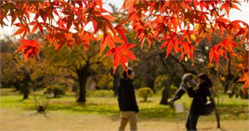 4生肖2025年底前家運極好　與親人關係和諧實現「闔家平安」