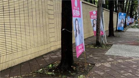 林杏兒競選關東旗"插樹穴裡" 挨轟:不是要行政中立嗎?