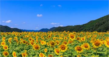 小暑來了！5星座受多方貴人相助　事業重新定位起飛