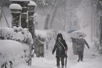 日本海沿岸下暴雪　新潟縣積雪量破80公分