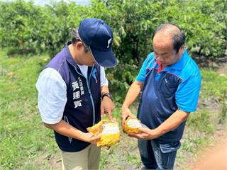 黃建賓親勘台東農損　爭取農業部現金救助免現勘