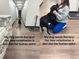 獸醫是我姊姊？比特犬驚呆反應太真實　錯亂逃跑又撲回懷裡