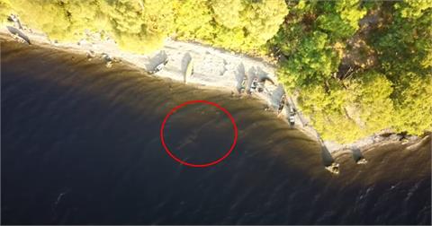 尼斯湖水怪現形？YouTuber空拍機拍下「清晰身影」游向岸邊