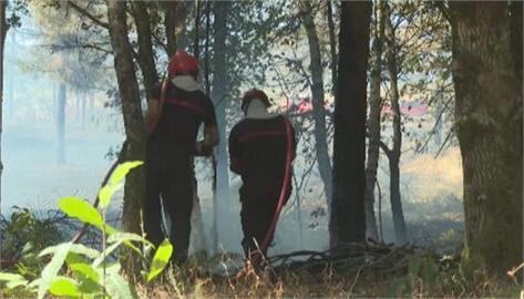 歐洲野火頻傳　法國布列塔尼潘蓬森林難逃火舌