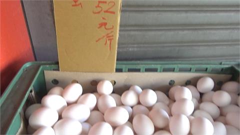 雞蛋漲2元！民眾喊貴：無奈接受　養雞蛋農：雞隻大量死亡早該漲