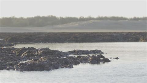 快新聞／環團控三接工程導致漂沙嚴重　中油：自然現象、沿岸珊瑚也未縮小