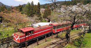 阿里山賓館2026房價曝光！「最貴一晚4.5萬」　網驚：以為是越南盾