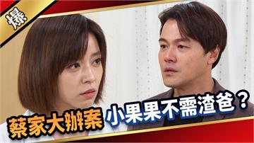 《愛的榮耀-EP269精彩片段》蔡家大辦案 小果果不需渣爸？
