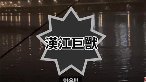 南韓首爾竟出現「10公尺黑色巨獸」畫面曝光！釣客嚇瘋急跑走：游過來了