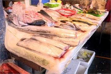 白帶魚數量大減  每公斤飆漲至600元