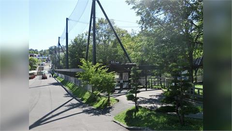 北海道知名動物園員工涉殺妻焚屍　竟囂張放話嗆「燒到什麼都不剩」